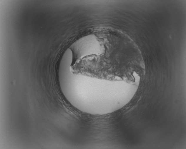 X0000067460913200604211537