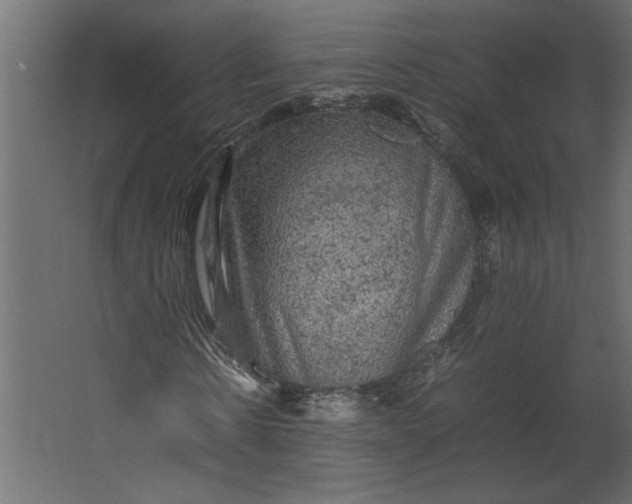 X0000067460914200604211537