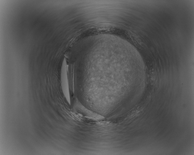 X0000067460916200604211537