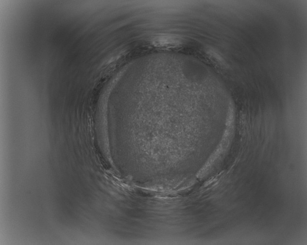 X0000067460917200604211537