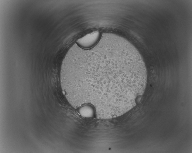 X0000067460918200604211537