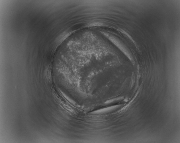 X0000067460921200604211537