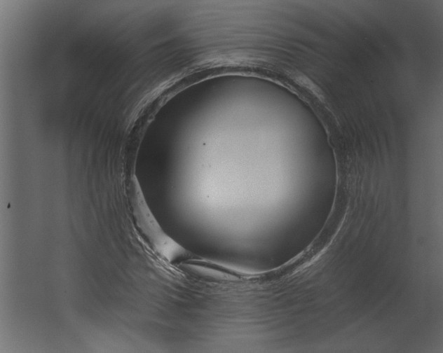 X0000067460922200604211537