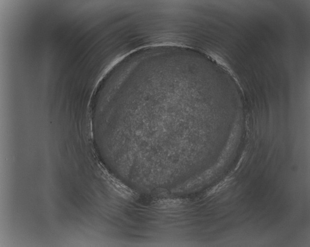 X0000067460925200604211537