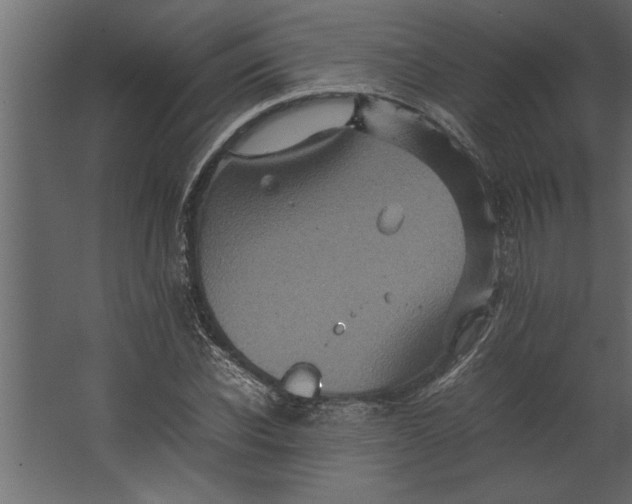 X0000067460926200604211537