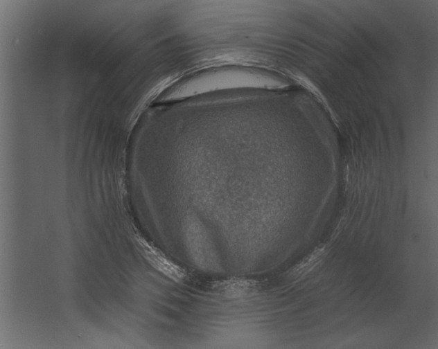 X0000067460930200604211537