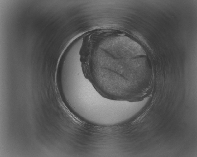 X0000067460932200604211537