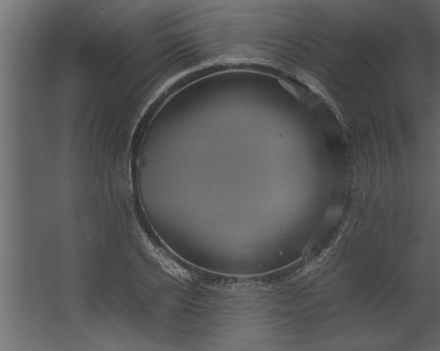 X0000067460934200604211537