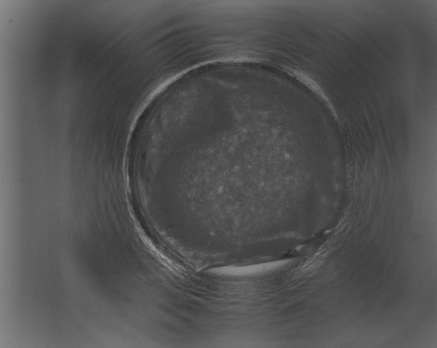 X0000067460935200604211537