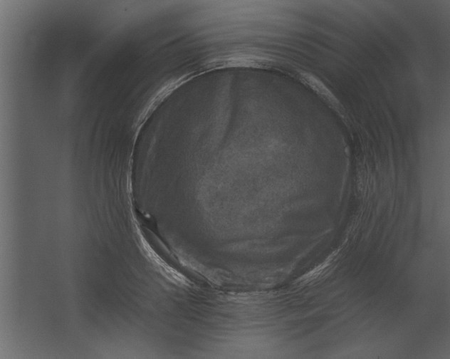 X0000067460938200604211537