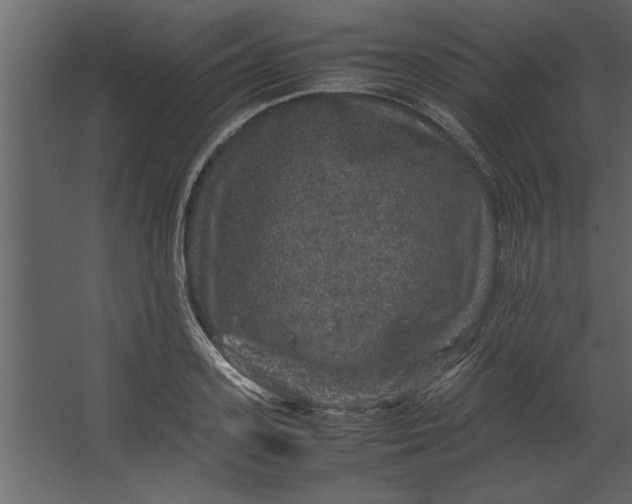 X0000067460939200604211537