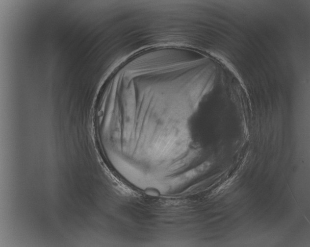 X0000067460941200604211537