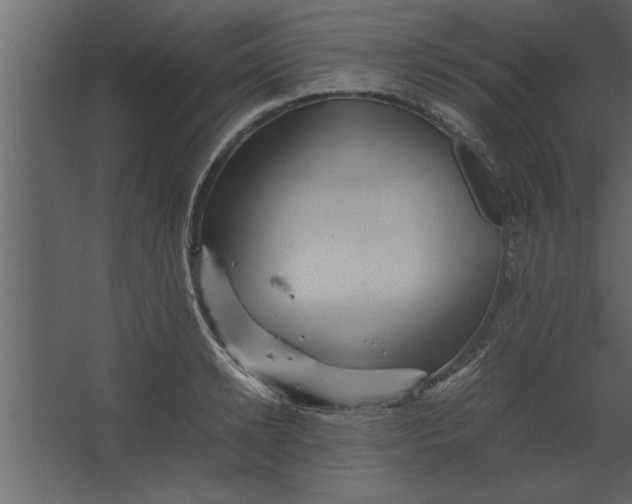 X0000067460942200604211537