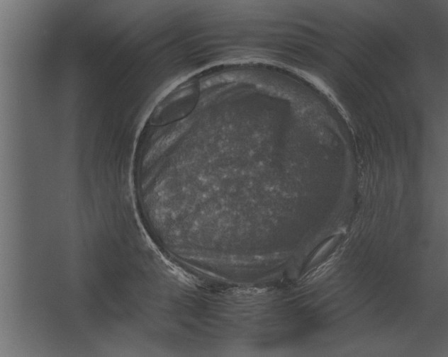 X0000067460943200604211537