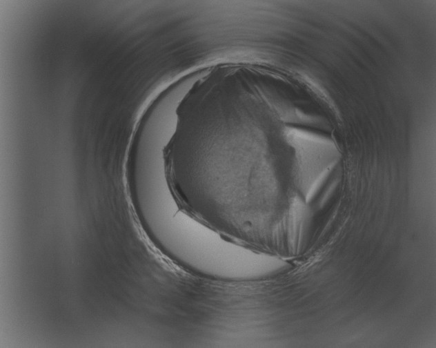 X0000067460944200604211537