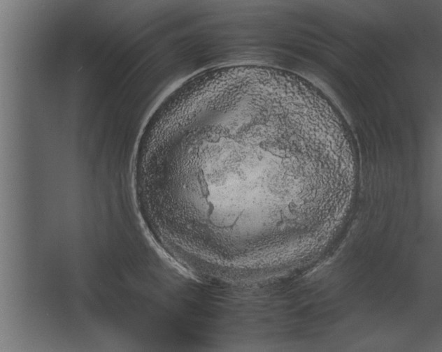 X0000067460949200604211537