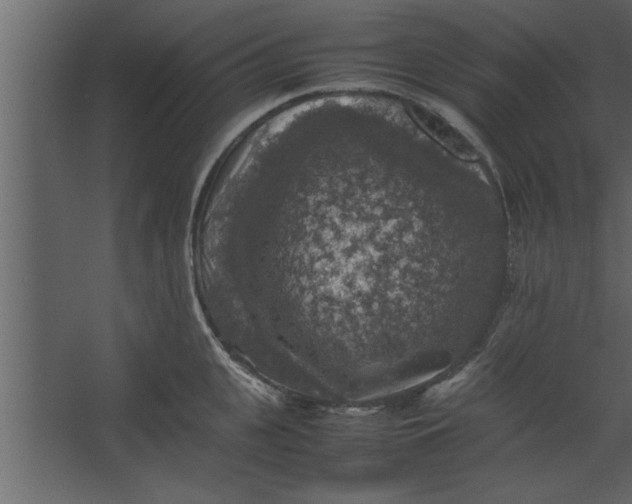 X0000067460951200604211537