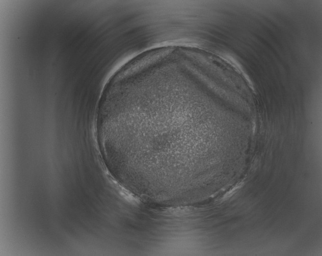 X0000067460952200604211537