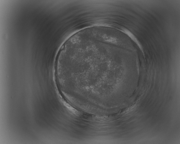 X0000067460955200604211537