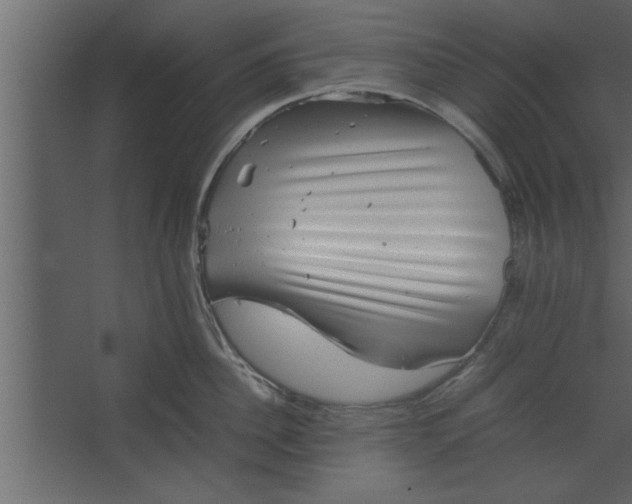 X0000067460956200604211537