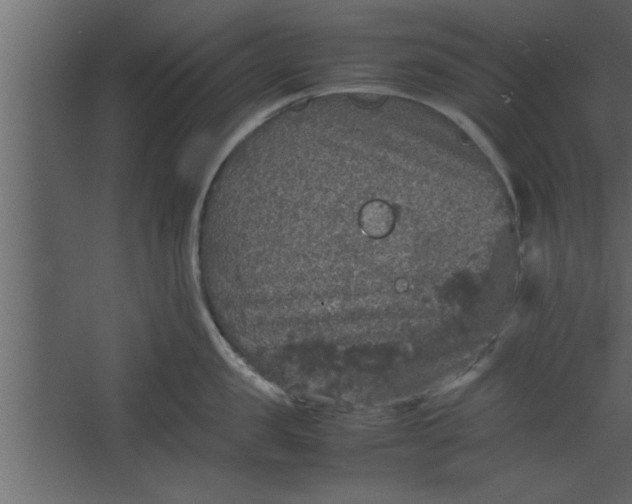 X0000067460957200604211537