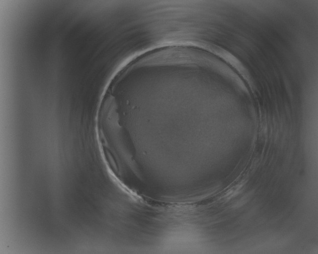 X0000067460958200604211537