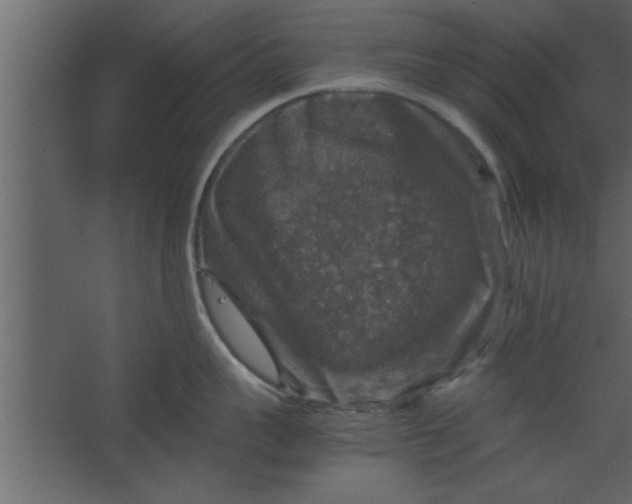 X0000067460959200604211537