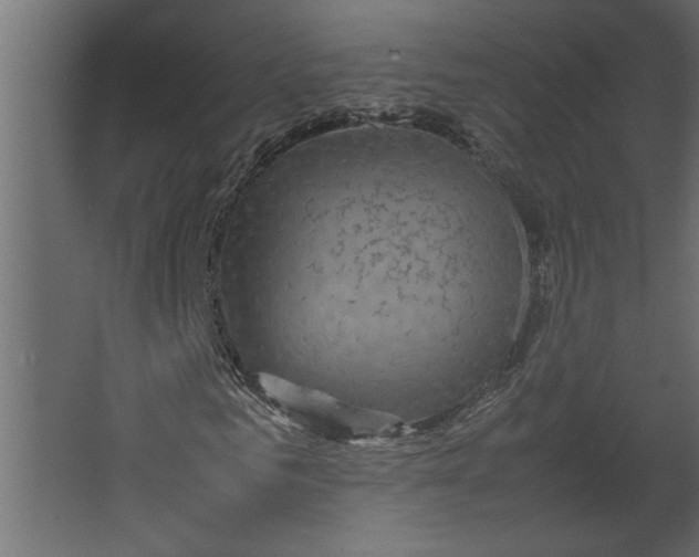 X0000067460961200604211537