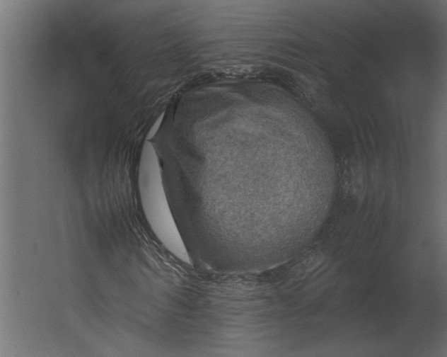 X0000067460962200604211537