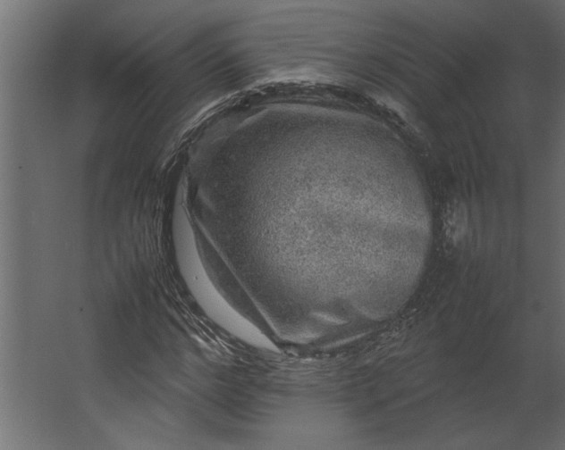 X0000067460968200604211537