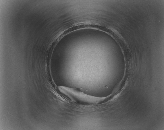 X0000067460969200604211537