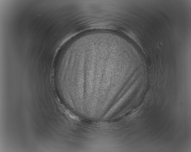 X0000067460971200604211537