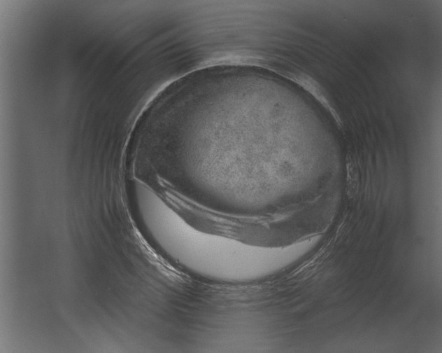 X0000067460972200604211537