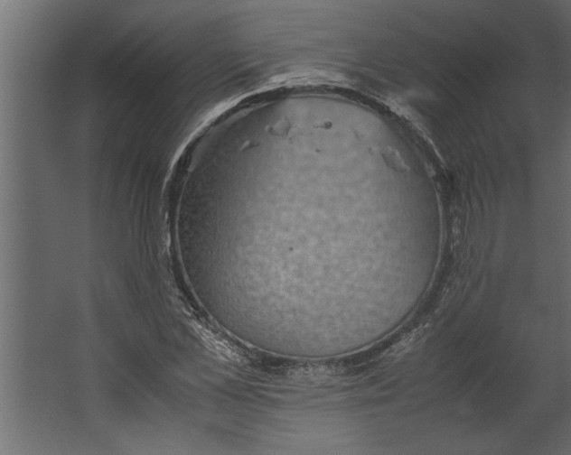 X0000067460973200604211536