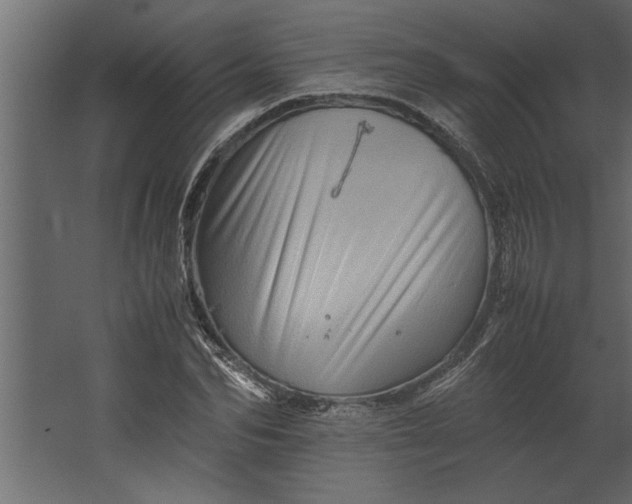 X0000067460974200604211536