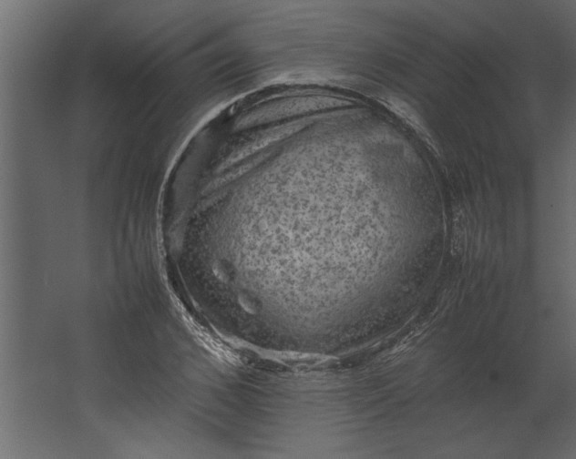 X0000067460976200604211536