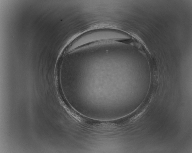 X0000067460981200604211536