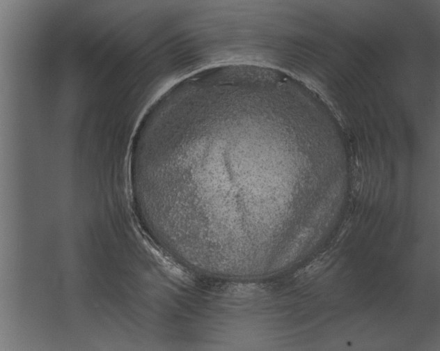 X0000067460982200604211536