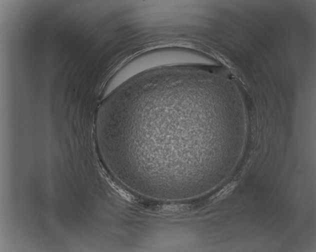 X0000067460985200604211536