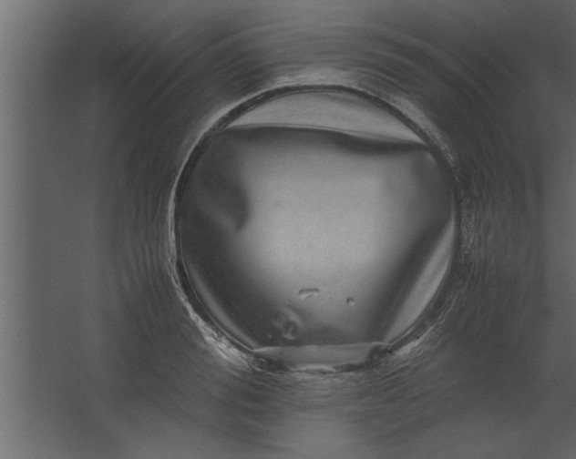 X0000067460988200604211536