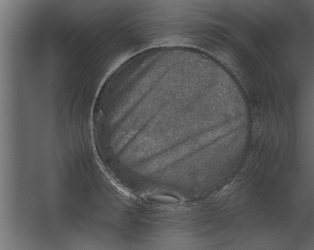 X0000067460990200604211536