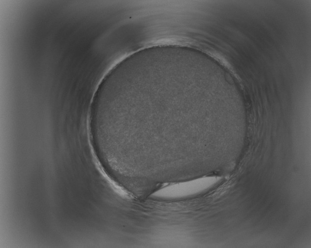 X0000067460991200604211536