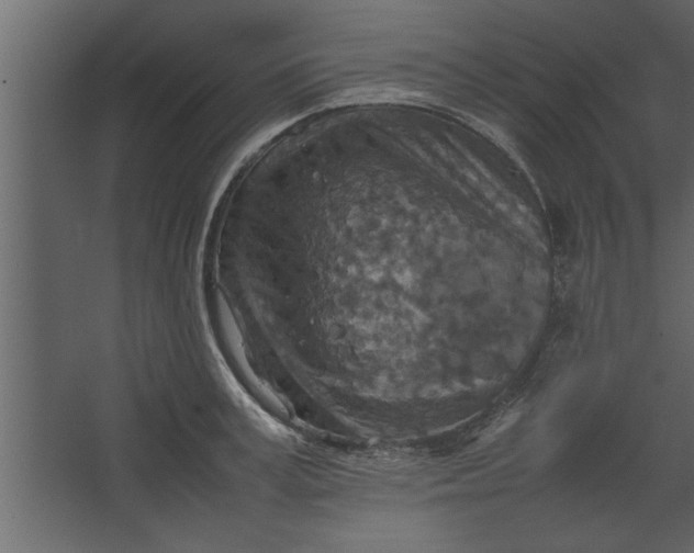 X0000067460995200604211536