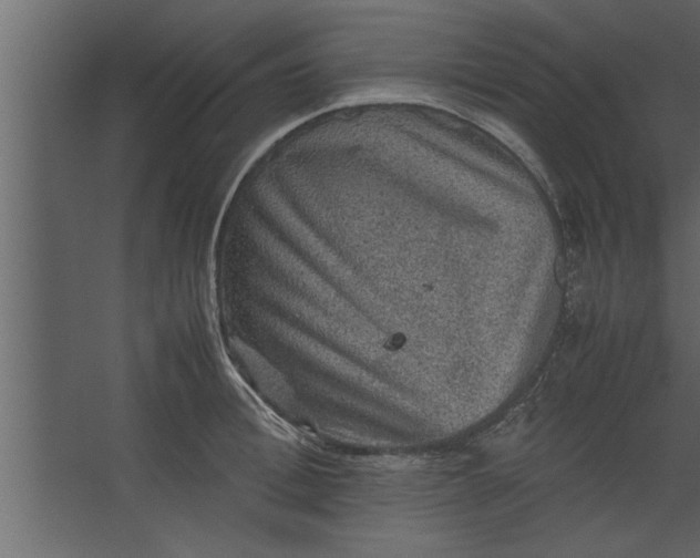 X0000067460996200604211536