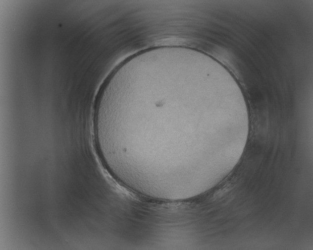 X0000067461000200604211536