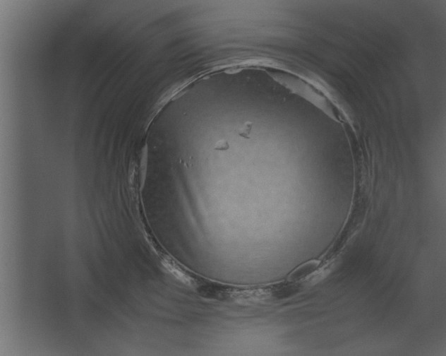 X0000067461001200604211536