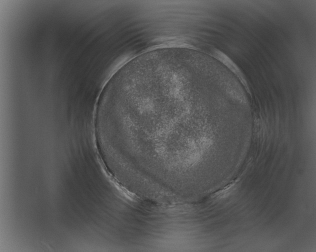 X0000067461002200604211536