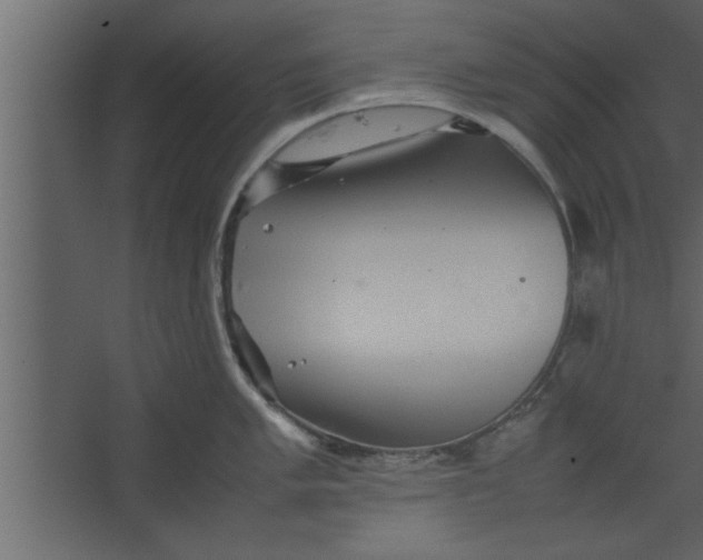 X0000067461005200604211536