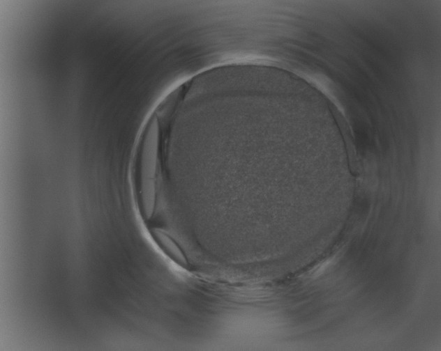 X0000067461007200604211536