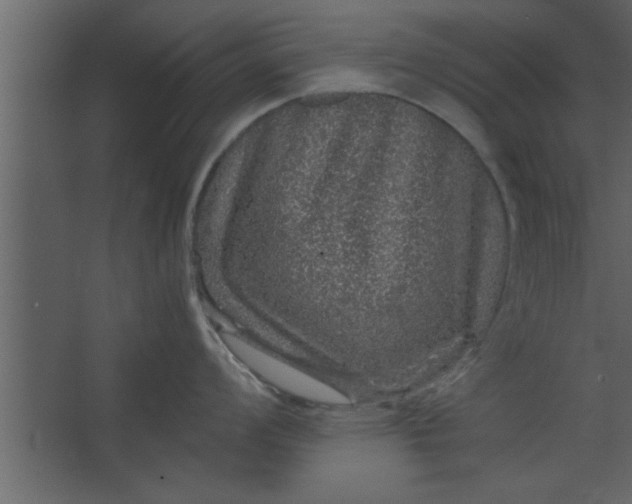 X0000067461008200604211536